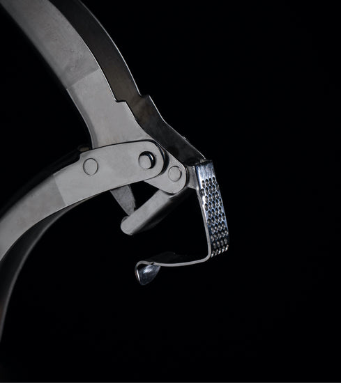 Stainless Steel Garlic Press