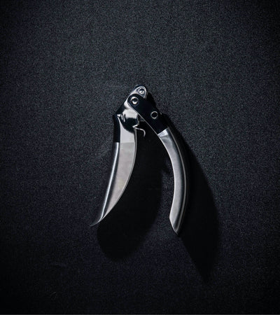 Stainless Steel Garlic Press